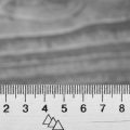 Wissenschaftliche Erkenntnisse zur Frequenz und Bedeutung wiederkehrender Träume bei Erwachsenen und Kindern