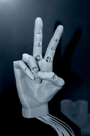 Fingerglieder und Fingerlänge: Interpretation in der deutschen Chirologie
