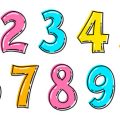 Der Bezug zwischen Handform und traditionellen deutschen Charaktereigenschaften