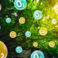 Die besten Legesysteme für Einsteiger: Praktische Leitfäden