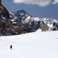 Stabilität und Struktur: Das Erdelement in Stier, Jungfrau und Steinbock