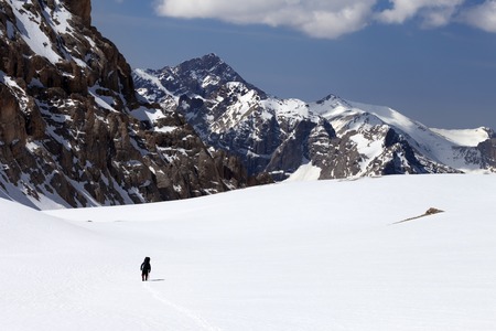 Stabilität und Struktur: Das Erdelement in Stier, Jungfrau und Steinbock